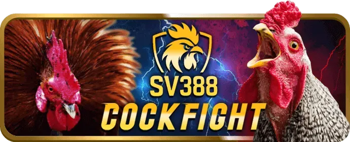 Hỗ trợ 24/7 helo888 info